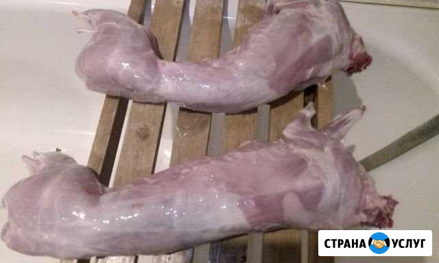 Продукты питания Гатчина - изображение 1