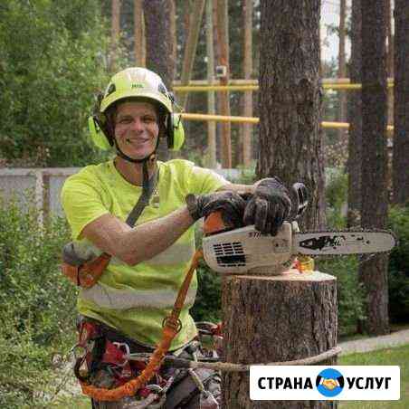 Спилить дерево. Обрезка веток Сысерть Сысерть