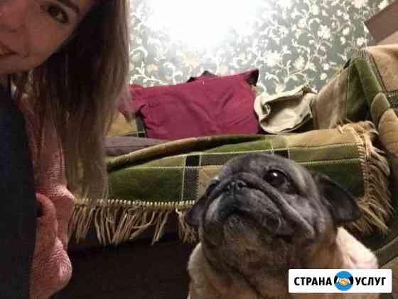 Передержка домашних животных Стерлитамак