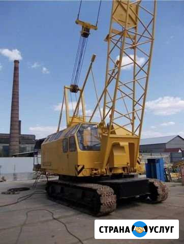 Сдам в аренду рдк-250.2 Сургут - изображение 1