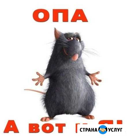 Металлолом вывоз Новороссийск - изображение 1
