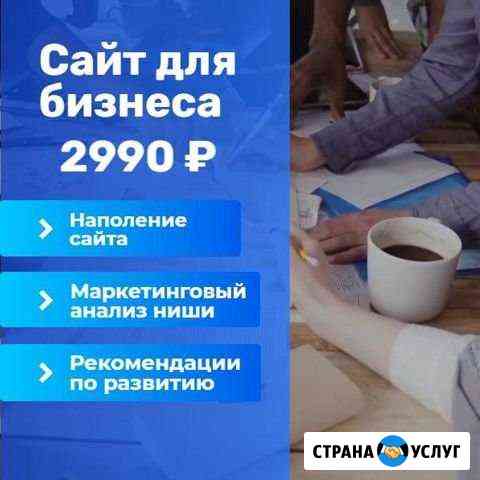 Сайт За 2990 для Вашего Бизнеса Санкт-Петербург