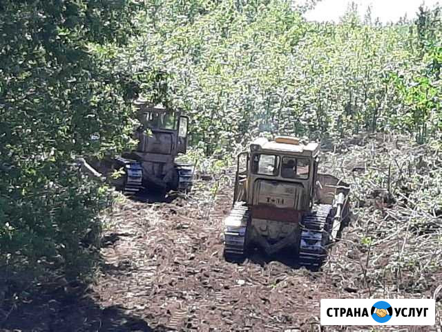 Раскорчевка садов Константиновск - изображение 1