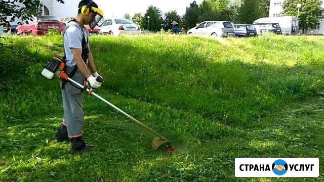 Скос травы Кольчугино - изображение 1