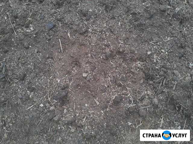 Конский навоз, перегной Отрадное - изображение 1