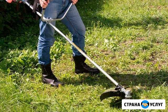 Скошу траву Лесной - изображение 1