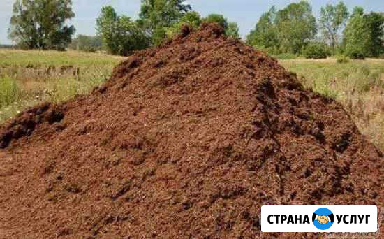 Перегной,навоз Димитровград - изображение 1
