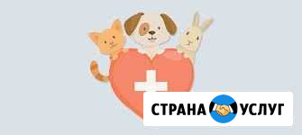 Ветеринарный врач Ставрополь - изображение 1