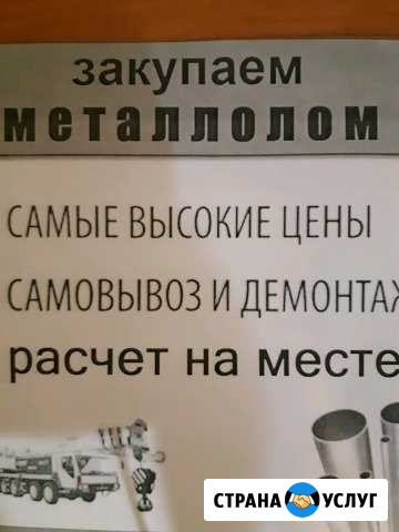 Прием лома,самовывоз Брянск - изображение 1
