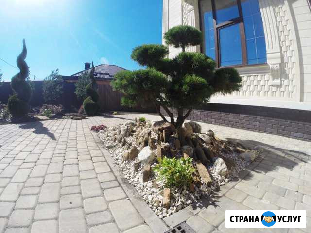 Озеленение,посадка деревьев, уход за садом Челябинск - изображение 1