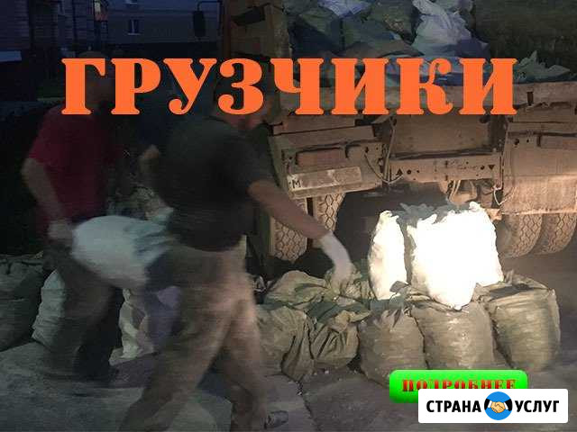 Аккуратные грузчики в Костроме Кострома - изображение 1