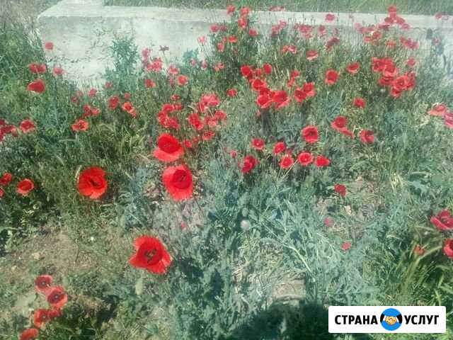 Уборка Симферополь - изображение 1