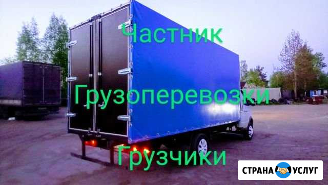 Все районы Переезды, грузоперевозки, газель Мурино - изображение 1
