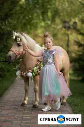 Пони, лошади, северные олени, верблюды на праздник Омск