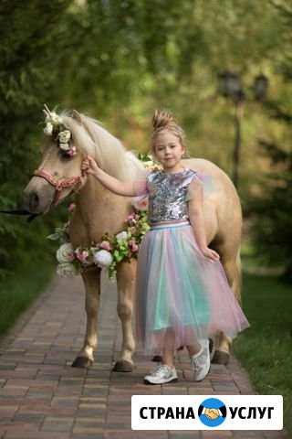 Пони, лошади, северные олени, верблюды на праздник Омск - изображение 1