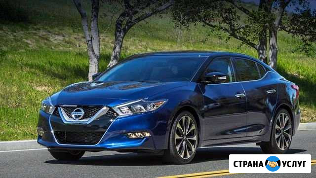 Выездная авто диагностика спец оборудование для лю Нижний Новгород - изображение 1