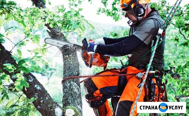 Спил деревьев, покос травы Кисловодск - изображение 1