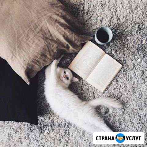 Передержка Ваших питомцев Сочи