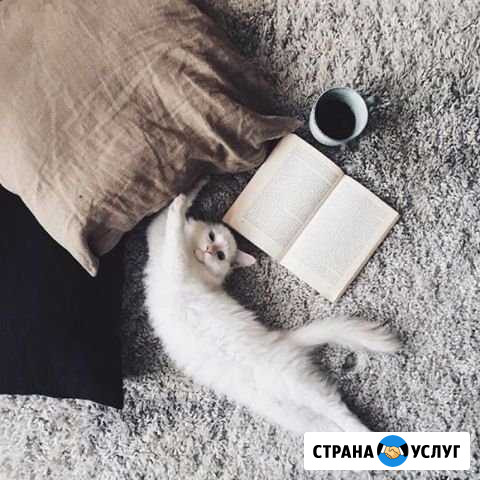 Передержка Ваших питомцев Сочи - изображение 1
