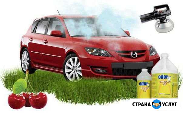 Устранение неприятных запахов Арзамас - изображение 1