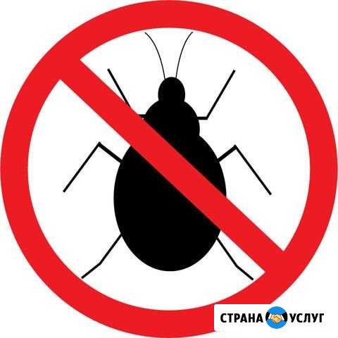 Дезинфекция от клопов и тараканов Северодвинск - изображение 1