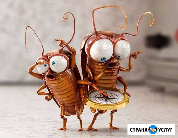Дезинсекция - уничтожение насекомых Москва - изображение 1
