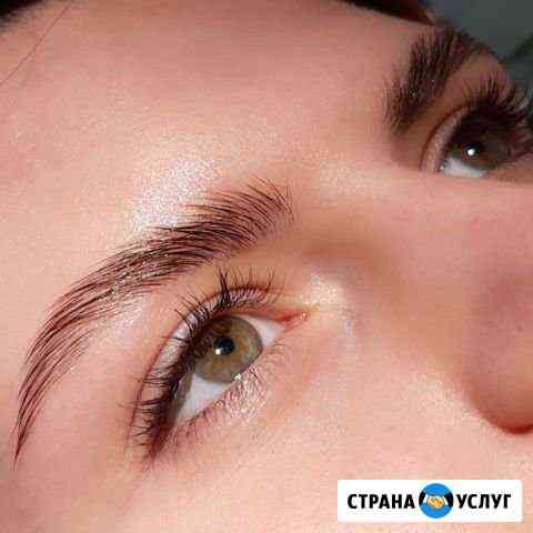 Брови Сочи