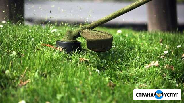 Покос травы Клин - изображение 1