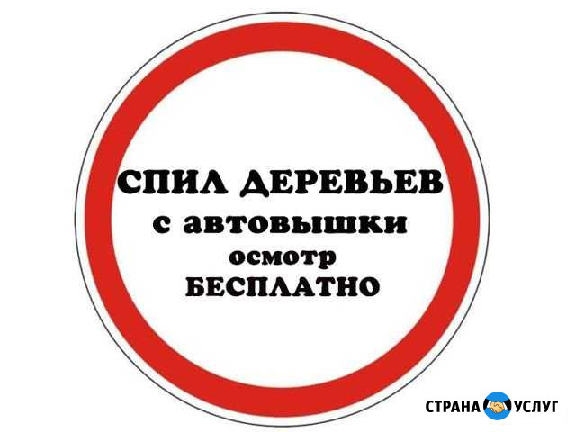 Спил деревьев с автовышки Череповец - изображение 1