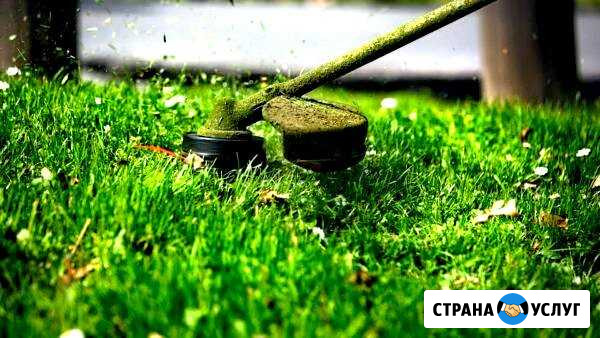 Покос травы,опиловка деревьвев Ярославль - изображение 1