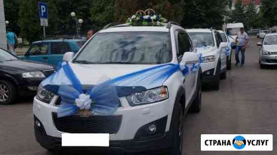 Свадьба, трансфер, деловые поездки Киров