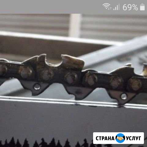 Заточка цепей бензопилы Петропавловск-Камчатский - изображение 1