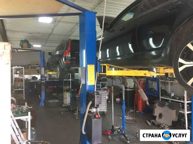 Диагностика и ремонт DSG Volkswagen специализация Москва - изображение 1