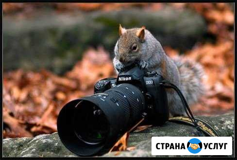 Видео съёмка Черкесск - изображение 1