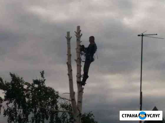 Кронирование, спил аварийных деревьев Омск