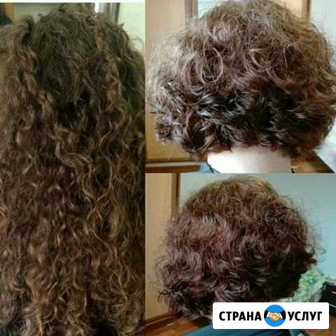 Стрижка Геленджик - изображение 1