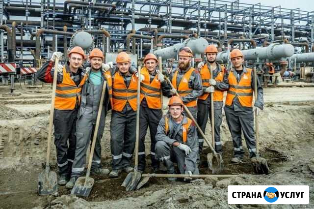 Разнорабочие Землекопы Курск - изображение 1