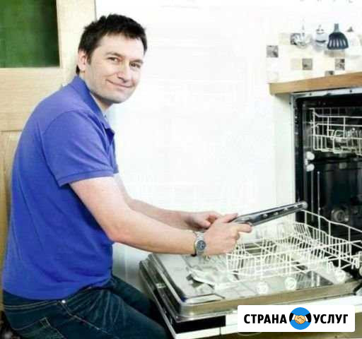 Ремонт посудомоечных машин Воронеж - изображение 1