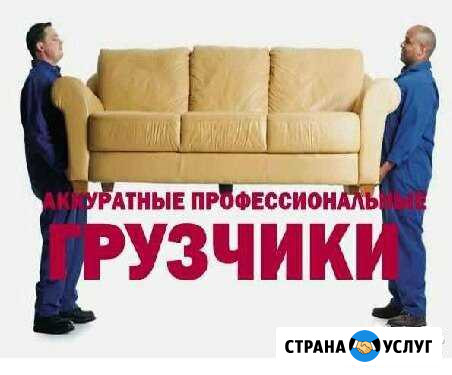 Грузчики Большое Село - изображение 1