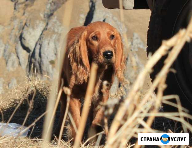 Вязка Иноземцево кп - изображение 1