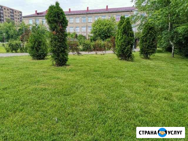 Покос травы на частных участках Обнинск - изображение 1
