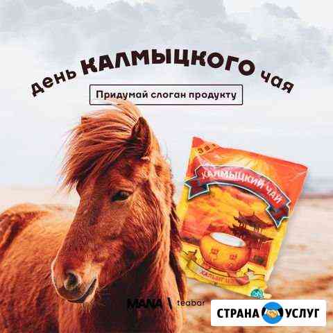 Smm / Смм / Ведение Instagram Краснодар