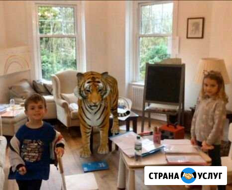 Помощник Нижний Тагил - изображение 1