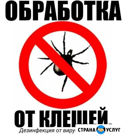 Обработка от клещей,и других насекомых Рыбинск - изображение 1