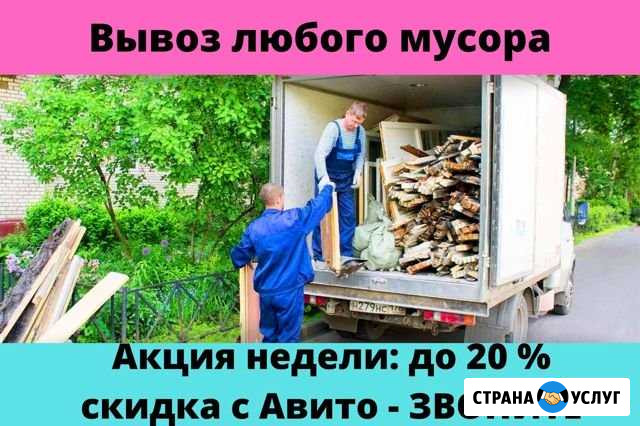 Вывоз мусора Всеволожск - изображение 1