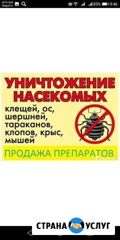 Дезинфекция, дезинсекция, дератизация,акарицидная Новосибирск - изображение 1
