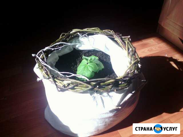 Земля в Мешках самовывоз Архангельск - изображение 1