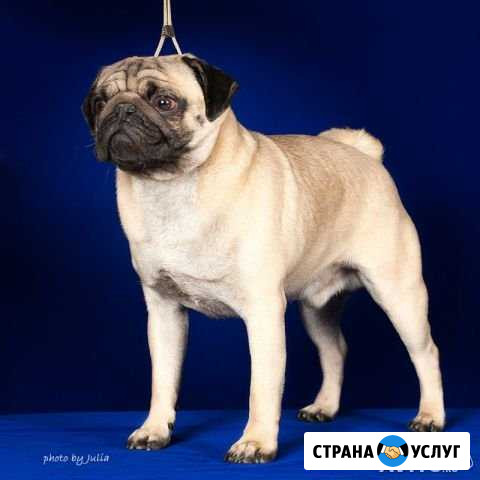 Ищу даму сердца Магнитогорск - изображение 1
