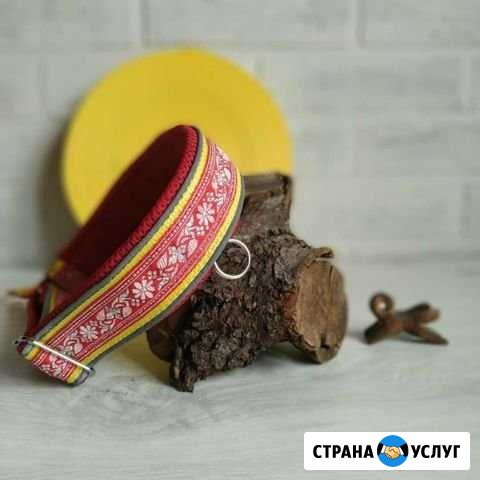 Ошейники и поводки Калуга - изображение 1