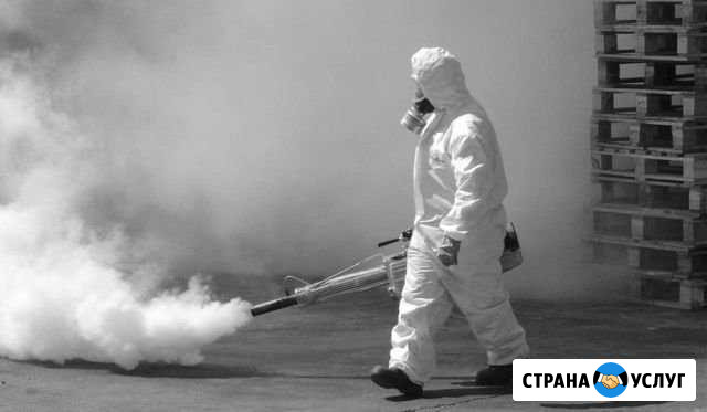 Дезинфекция, дезинсекция, дератизация Константиновск - изображение 1